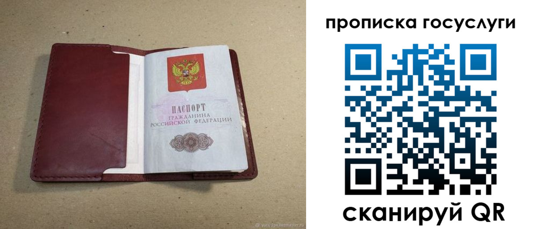 прописка поиск в Ипатово